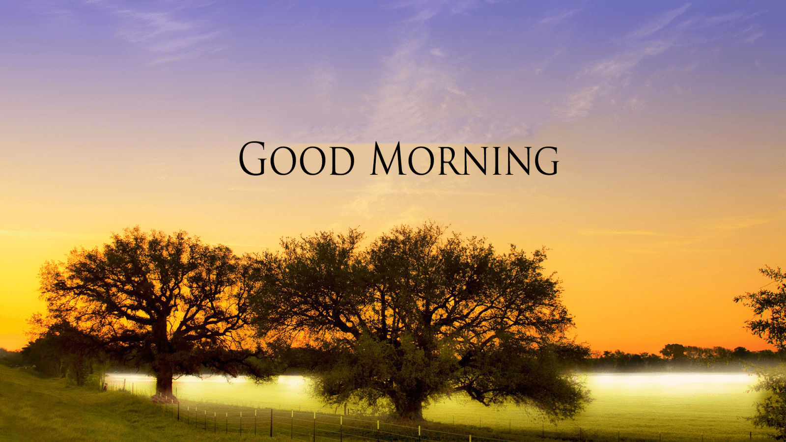 1600x900 Good Morning Wallpapers HD Download Free 1080p | Good morning HD