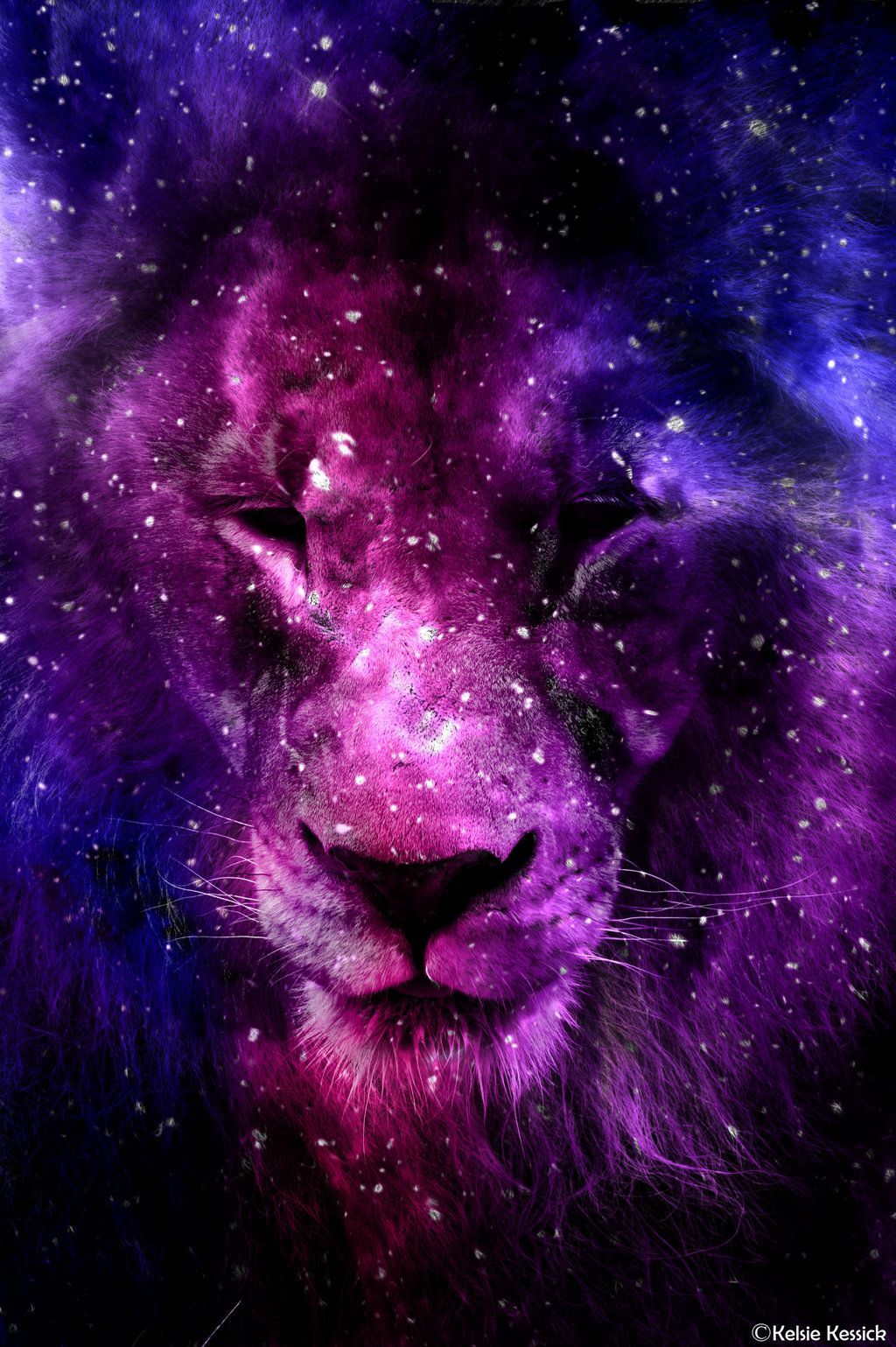 Hình nền sư tử tuyệt đẹp trong vũ trụ có trên WallpaperDog, mang đến cho bạn trải nghiệm tuyệt vời nhất. Với chất lượng hình ảnh sắc nét và đẹp mắt, bạn sẽ được tận hưởng vẻ đẹp tuyệt vời của vũ trụ và sức mạnh của sư tử cùng nhau.