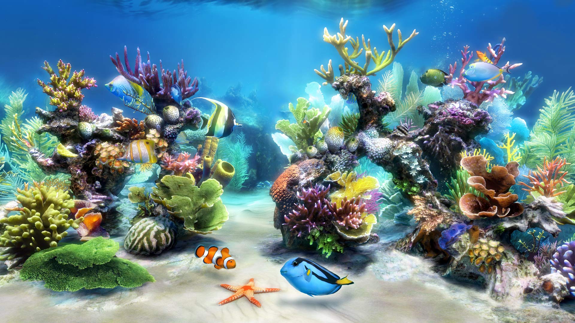 Fish Wallpapers - Top Free Fish Backgrounds - WallpaperAccess