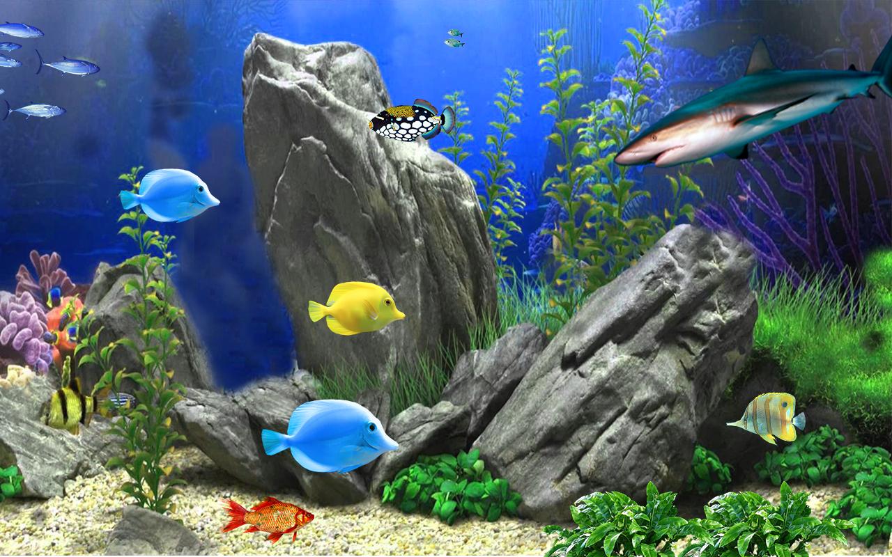 Живые аквариумы на телефон. Живой аквариум. Живые обои аквариум. Аквариум 3д. Аквариум с рыбками 3д.