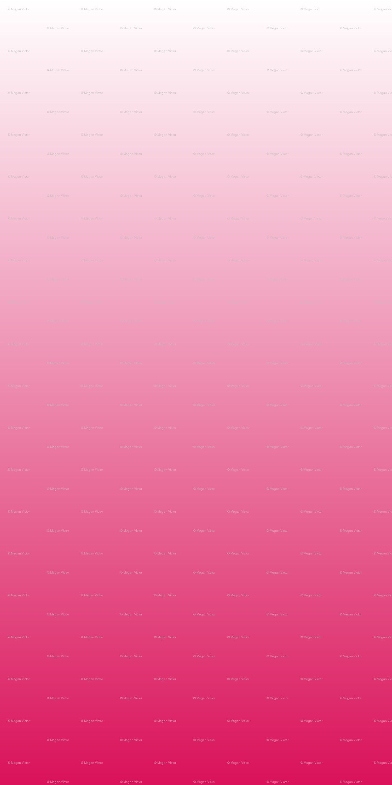 Hot Pink Ombre Wallpapers on WallpaperDog