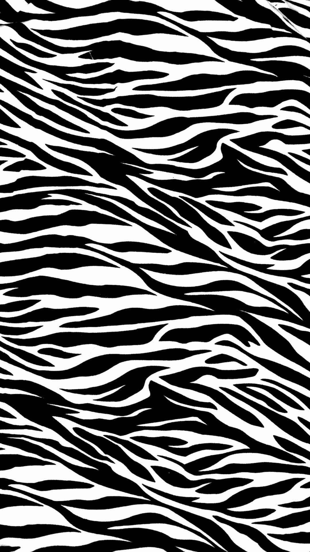 zebra wallpaper hd