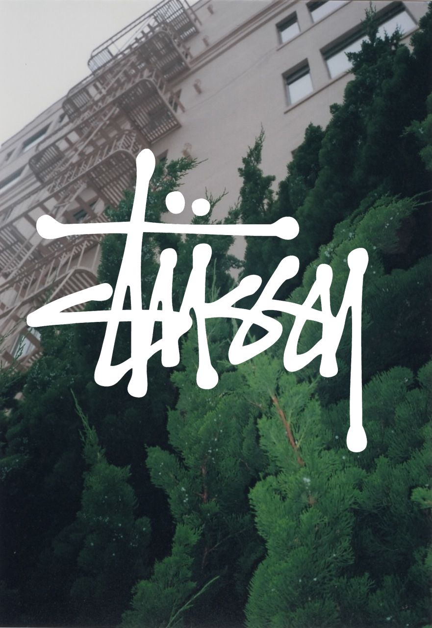 Stussy Green Wallpapers On Wallpaperdog