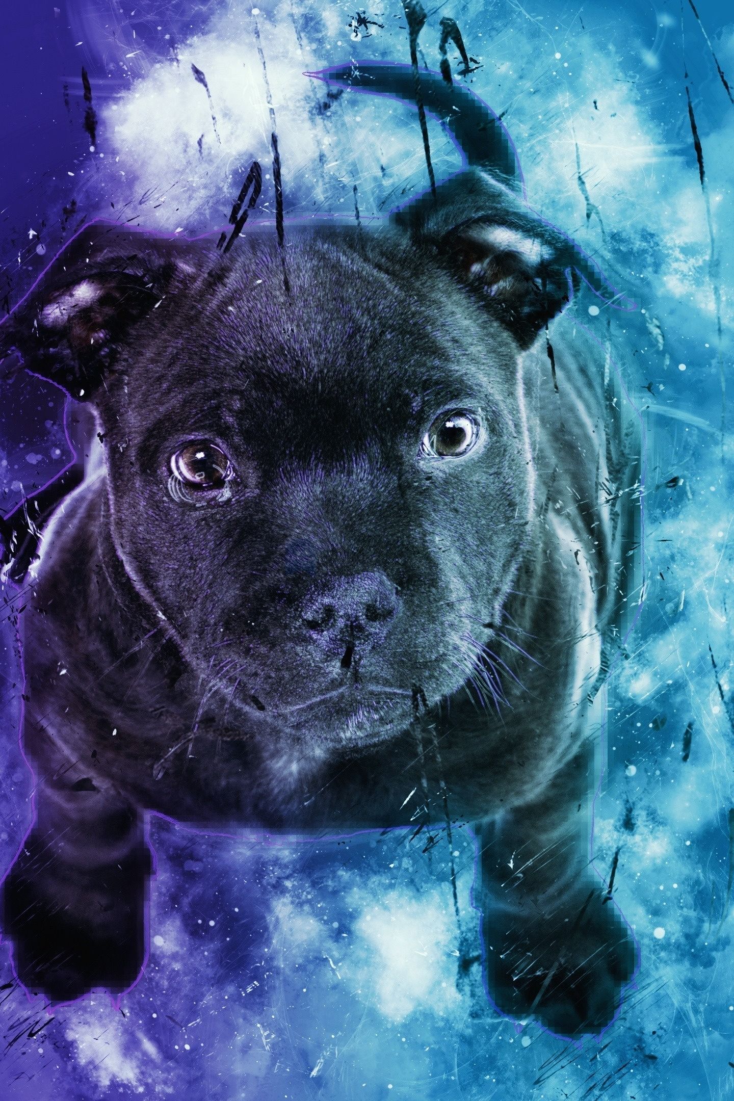 Tưởng tượng một chú chó đáng yêu đang phiêu lưu trong vũ trụ với bộ da bắt mắt giống như những ngôi sao trong đêm đầy lãng mạn. Hãy đến với bộ sưu tập hình nền chó phiêu lưu vào không gian đầy bất ngờ và nhấn ấn bức ảnh này.