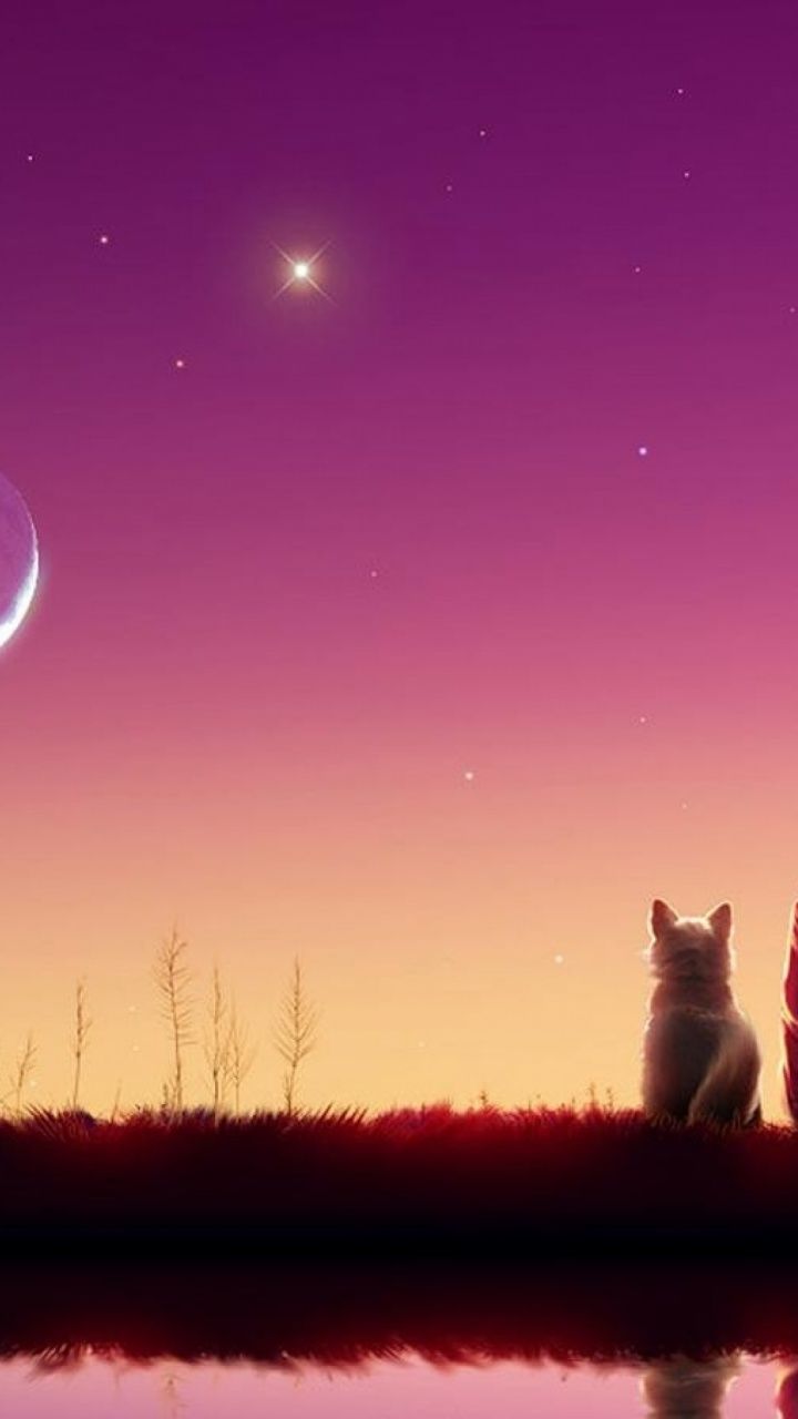 Galaxy Dogs Wallpapers On Wallpaperdog