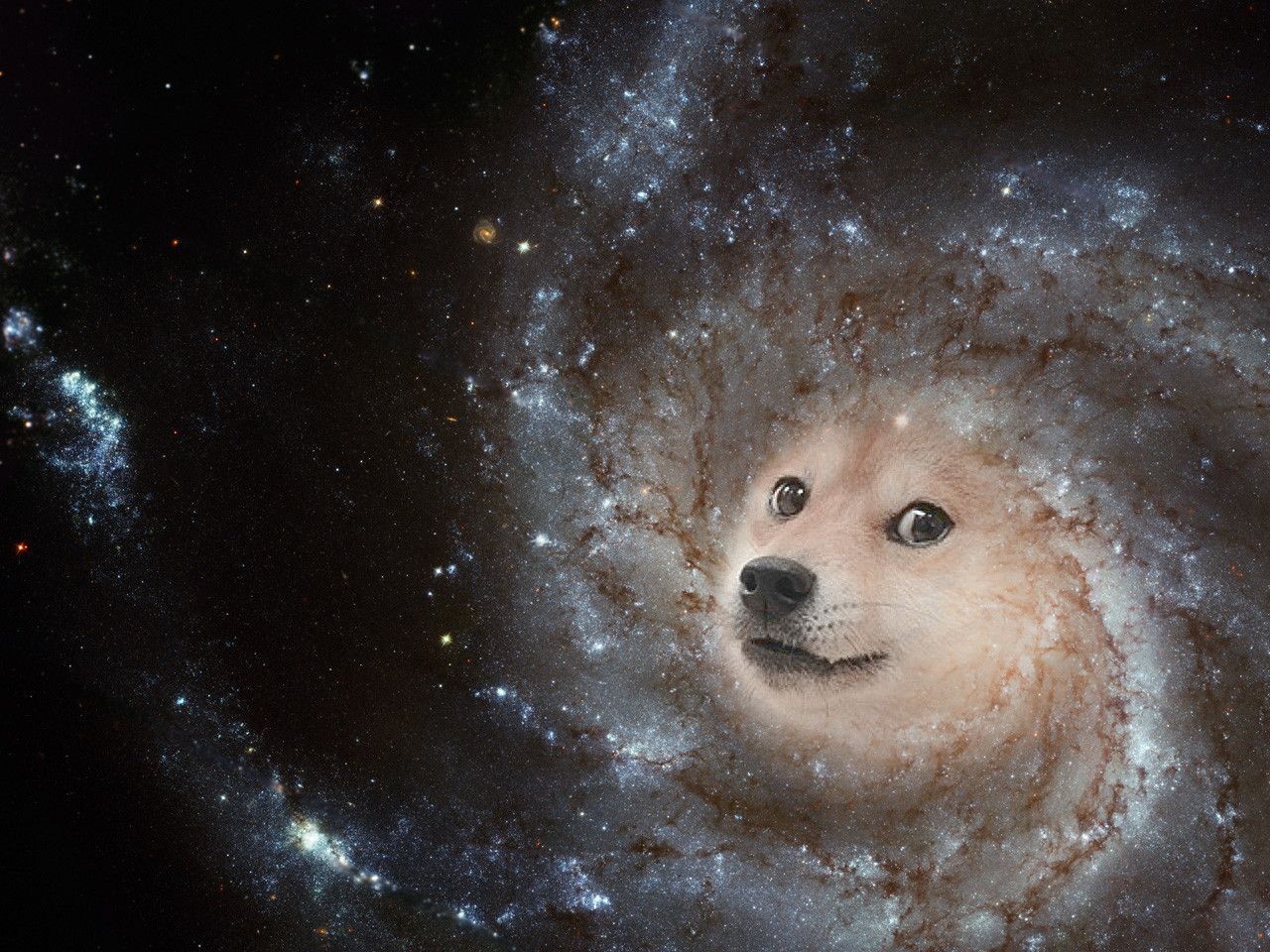Hãy thưởng thức hình ảnh liên quan đến từ khóa Galaxy Dog và khám phá một không gian kỳ diệu, nơi những chú chó đáng yêu đang khám phá những chân trời mới trong dải ngân hà. Sự kết hợp giữa tình bạn và cuộc phiêu lưu đầy thú vị sẽ làm say đắm lòng người.