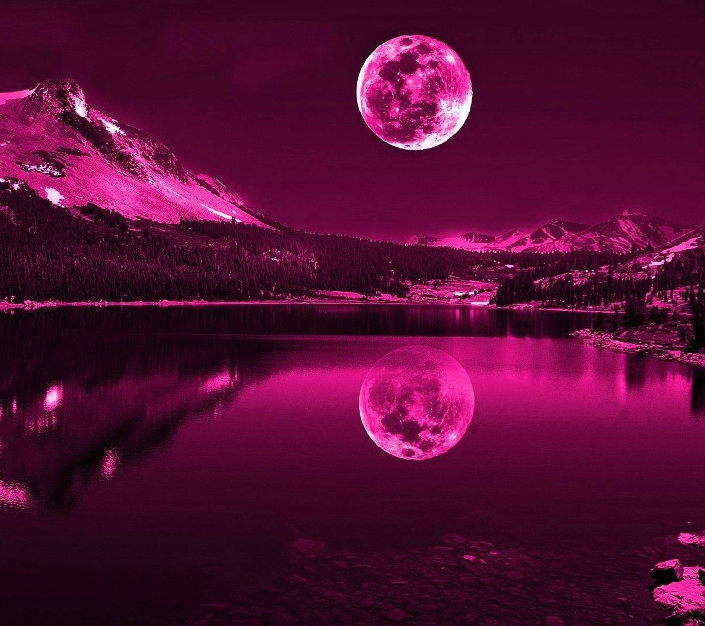Purple Moon Wallpapers on WallpaperDog