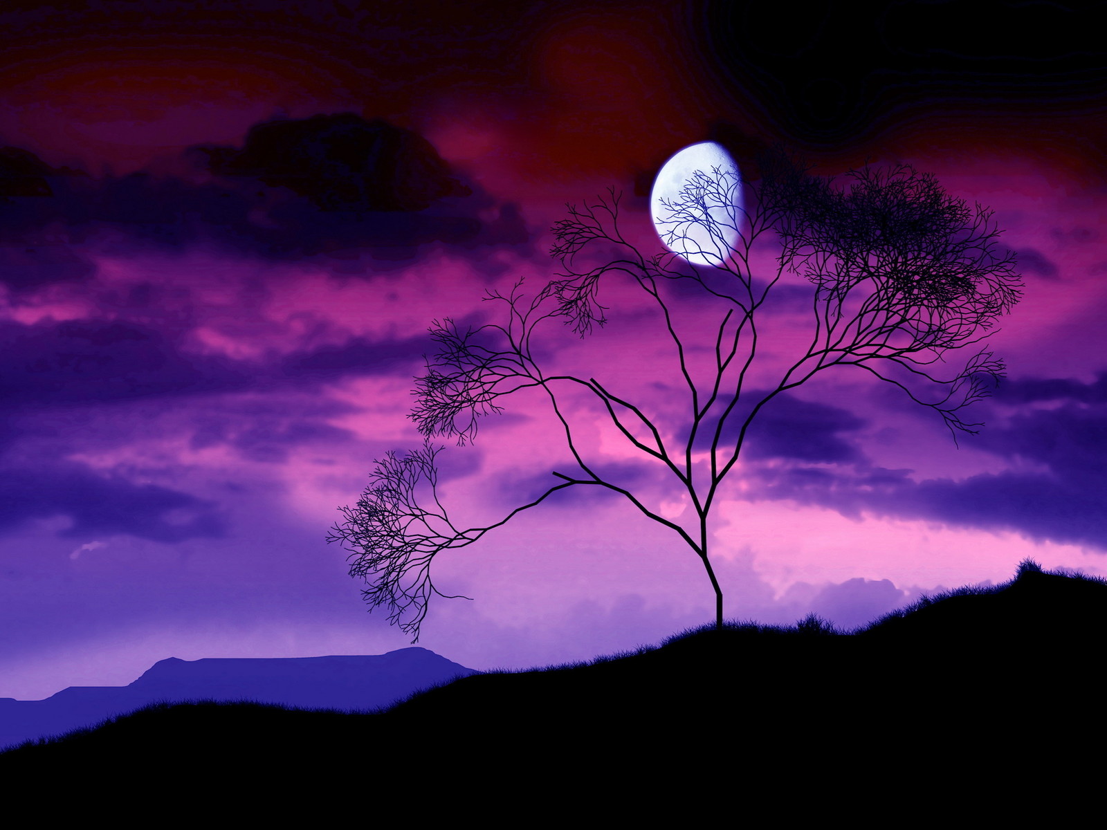 Full Moon on a Starry Night HD wallpaper download