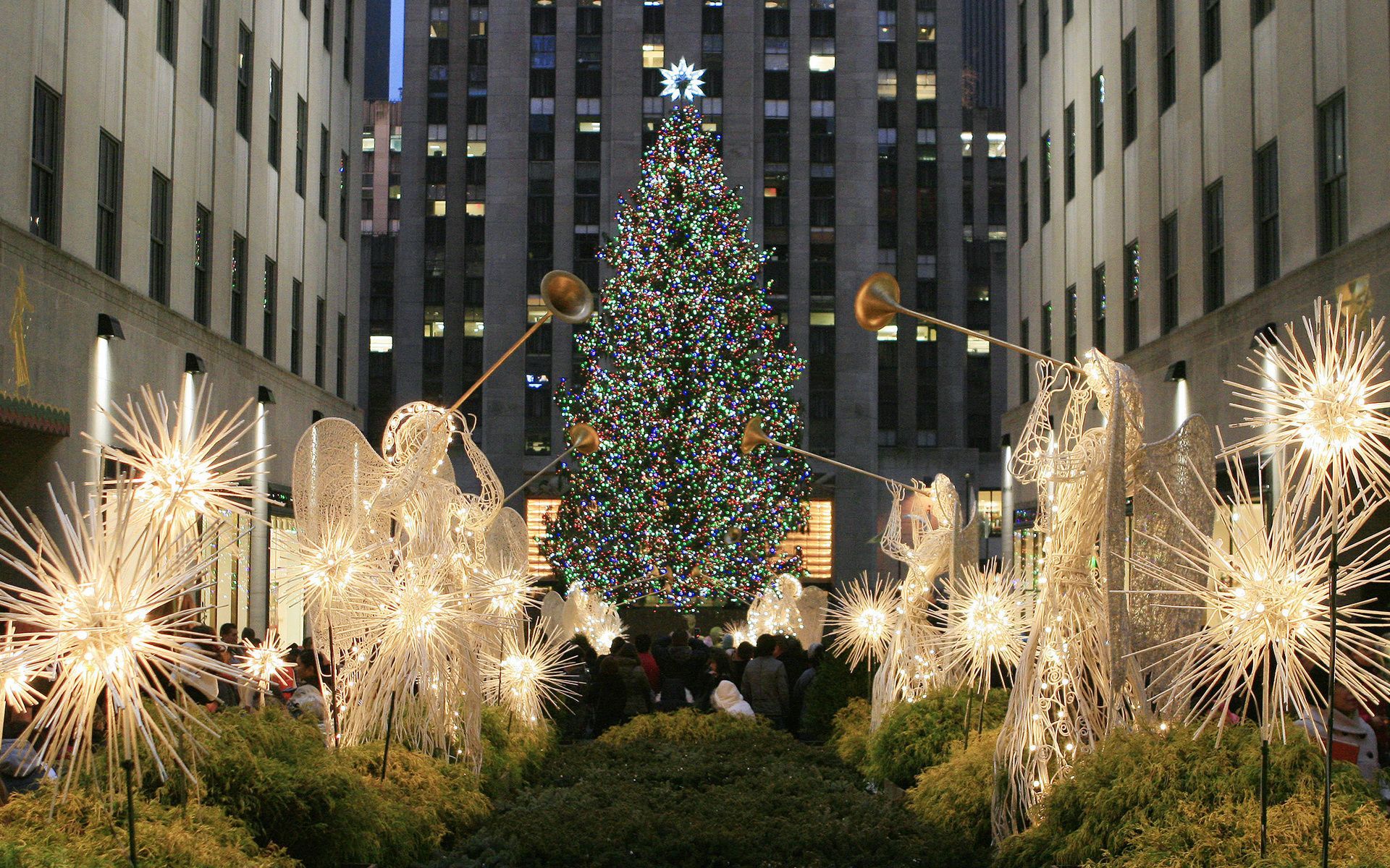 Is The Times Square Christmas Tree Real