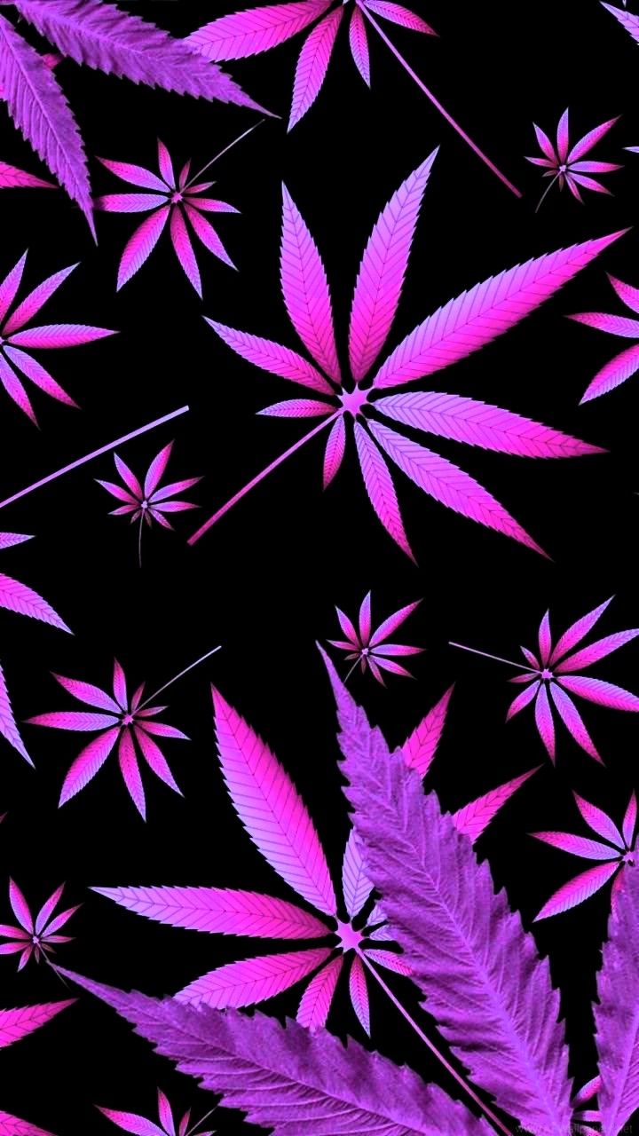Colorful Weed Wallpapers on WallpaperDog
