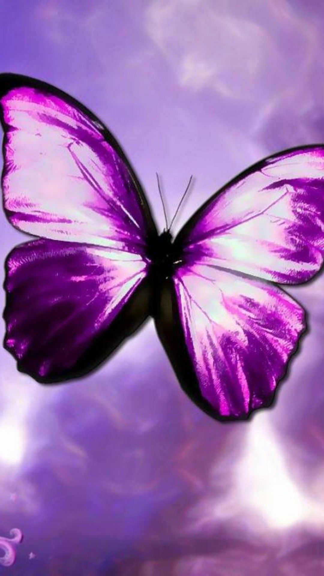 Purple Butterfly Wallpapers 57 pictures