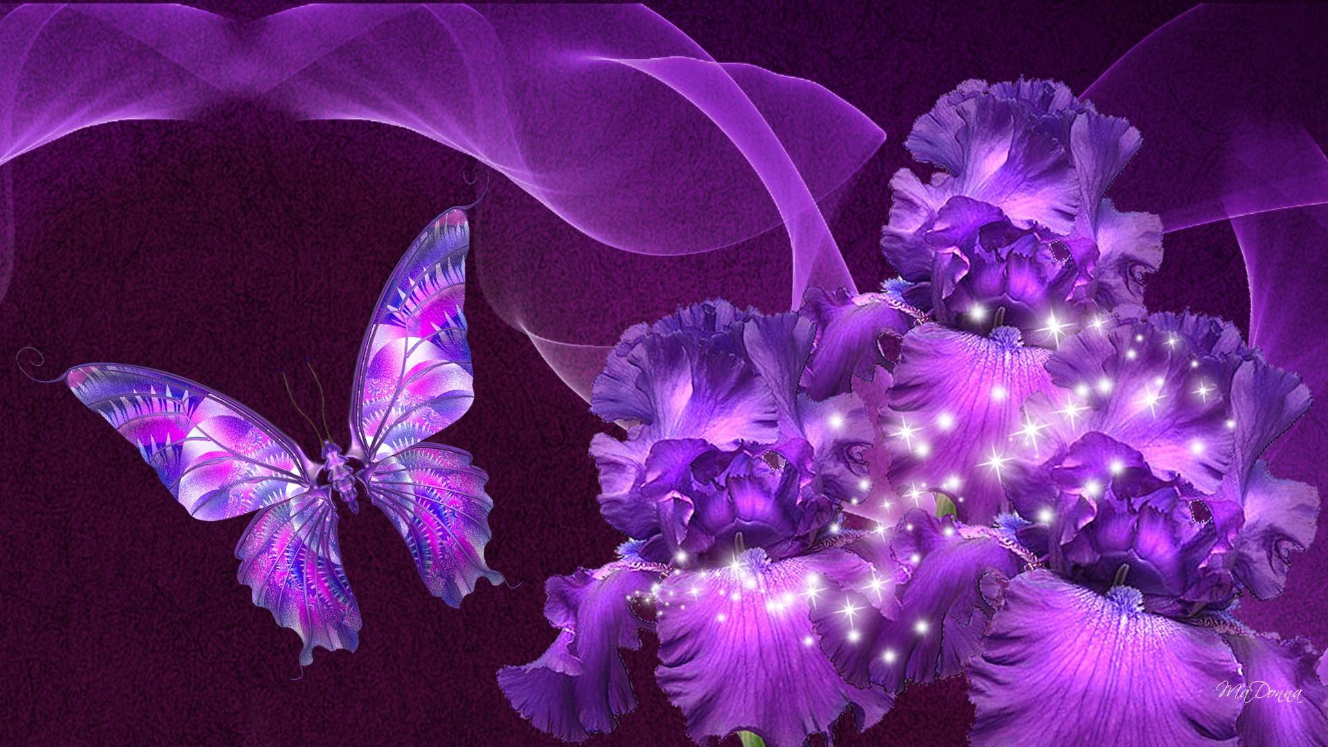 Purple butterfly HD wallpapers  Pxfuel