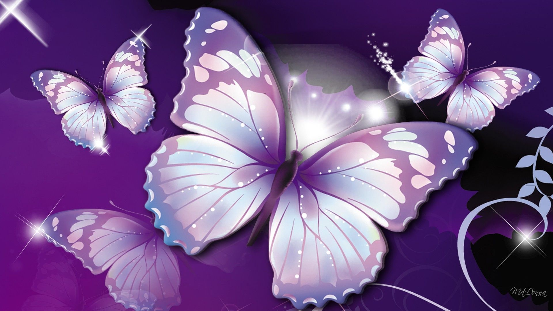 purple butterfly wallpaper Images  Sneha 463813364 on ShareChat