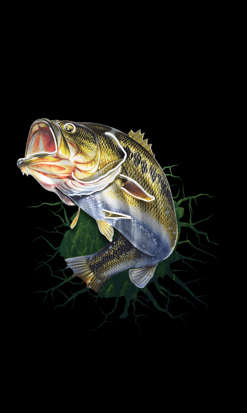 Bass fishing Largemouth bass Fishing Baits  Lures Fishing sports  desktop Wallpaper angling png  PNGWing