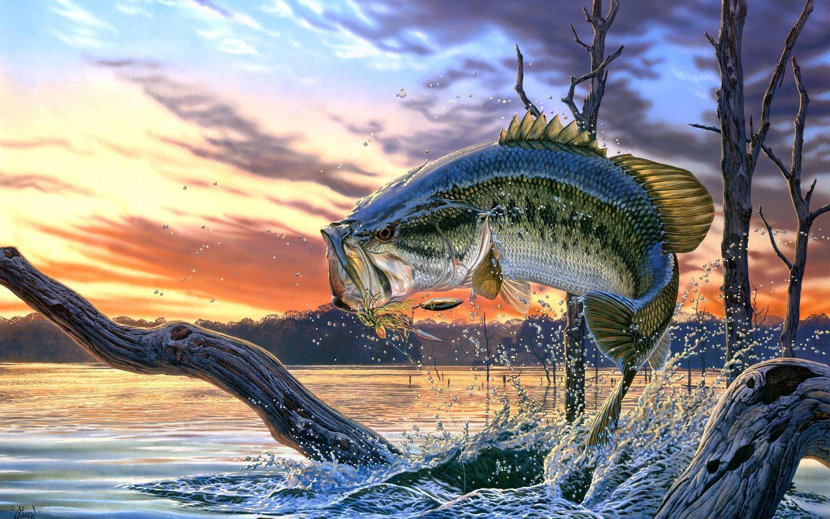 Best Fishing iPhone HD Wallpapers  iLikeWallpaper