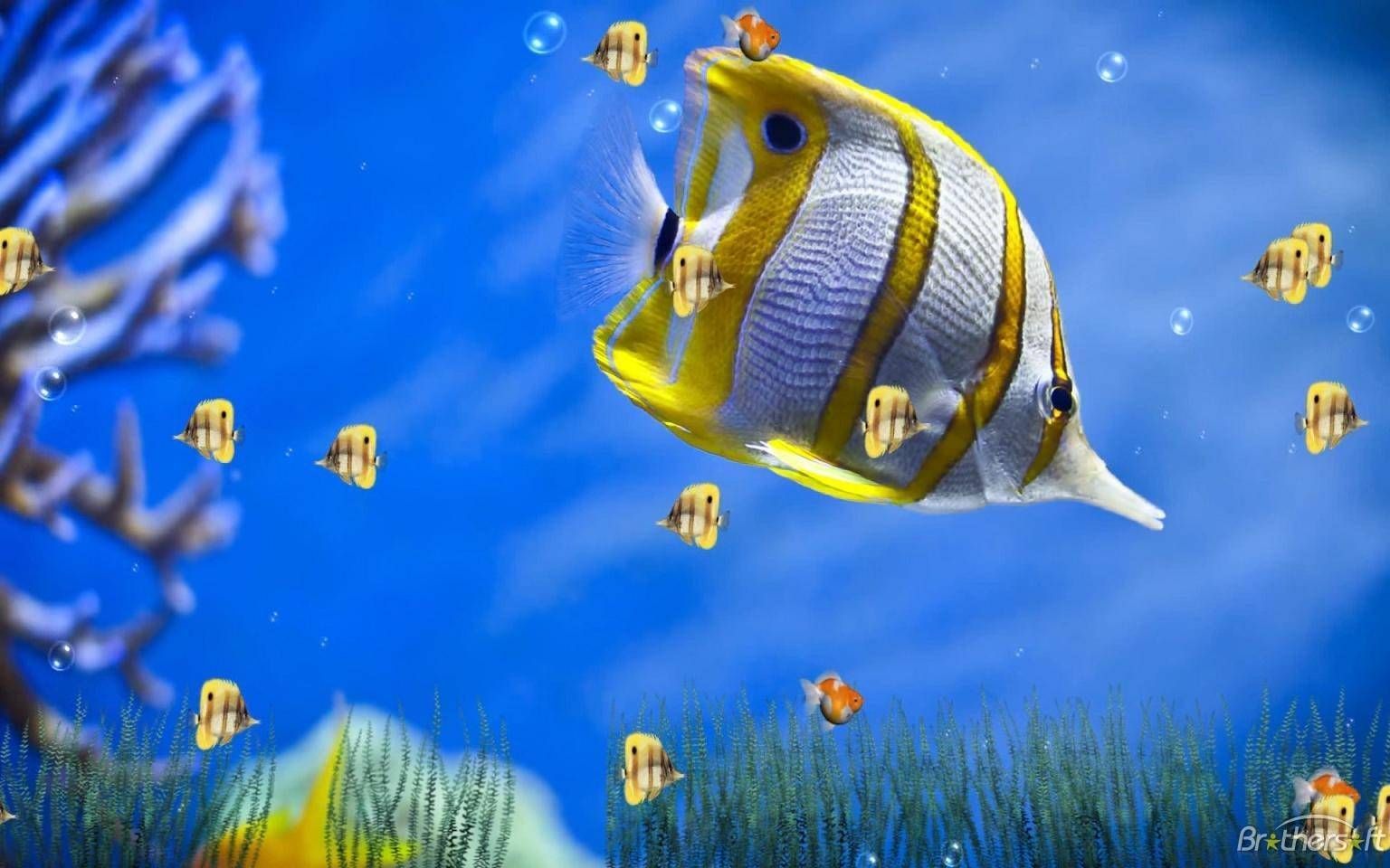 Top 73 Imagen Animated Background For Desktop Thpthoanghoatham edu vn