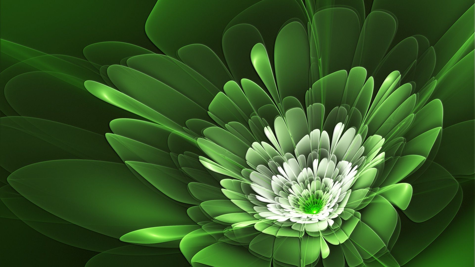 Green Flower Wallpaper  Handy hintergrund Smartphone hintergrund  Hintergrund iphone