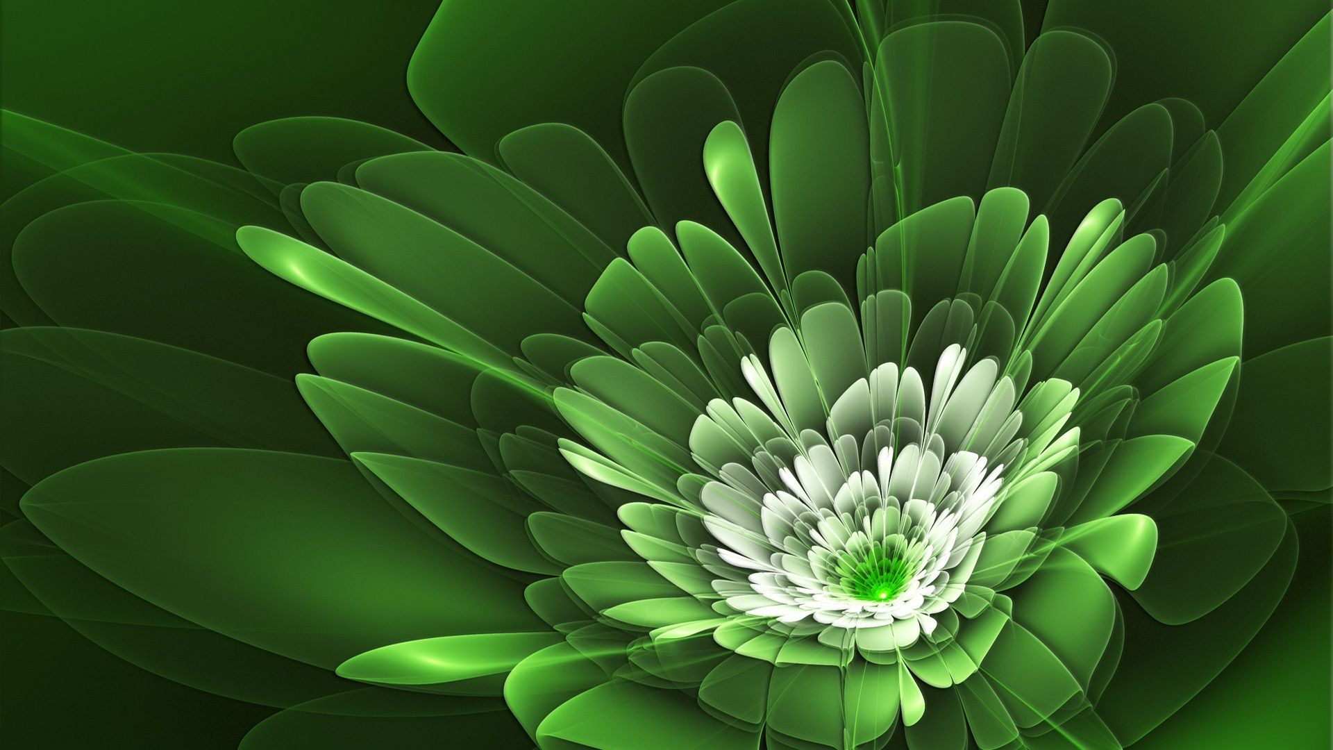 Dandelion flower Wallpaper 4K Heart White Green background 2389