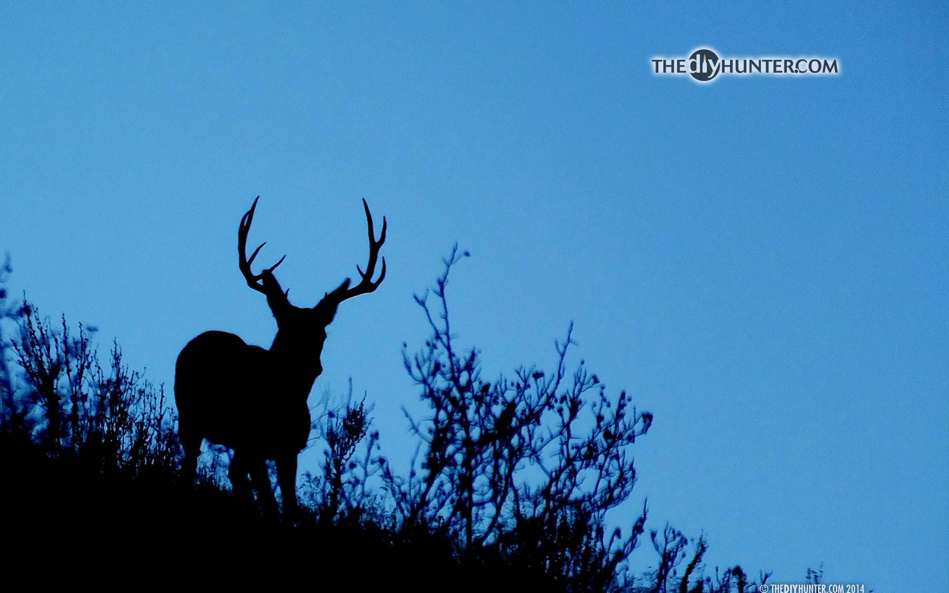 Guided Hunting Trips | Double Diamond Outfitters | Wyoming