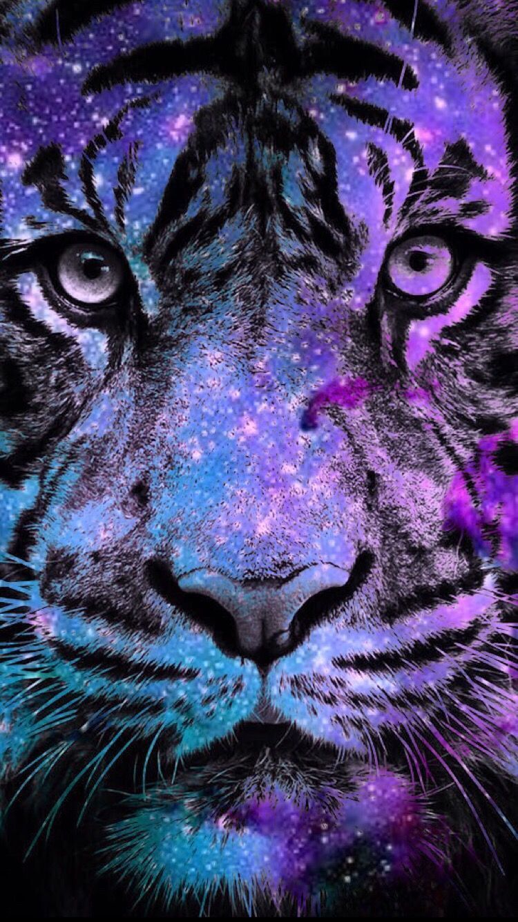 Tiger Galaxy Wallpapers on WallpaperDog
