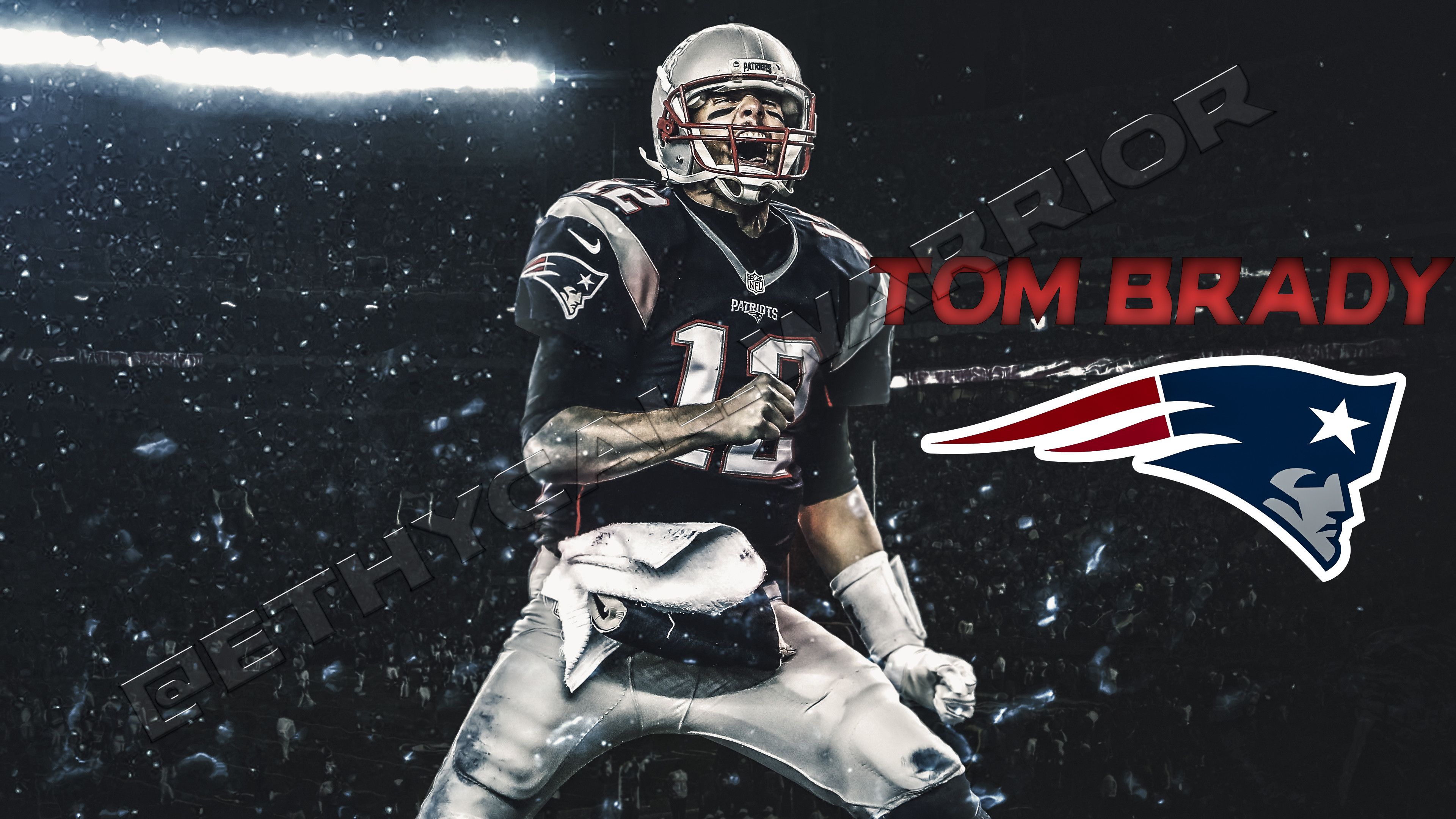 Brady 4K wallpapers for your desktop or mobile screen free and easy to  download