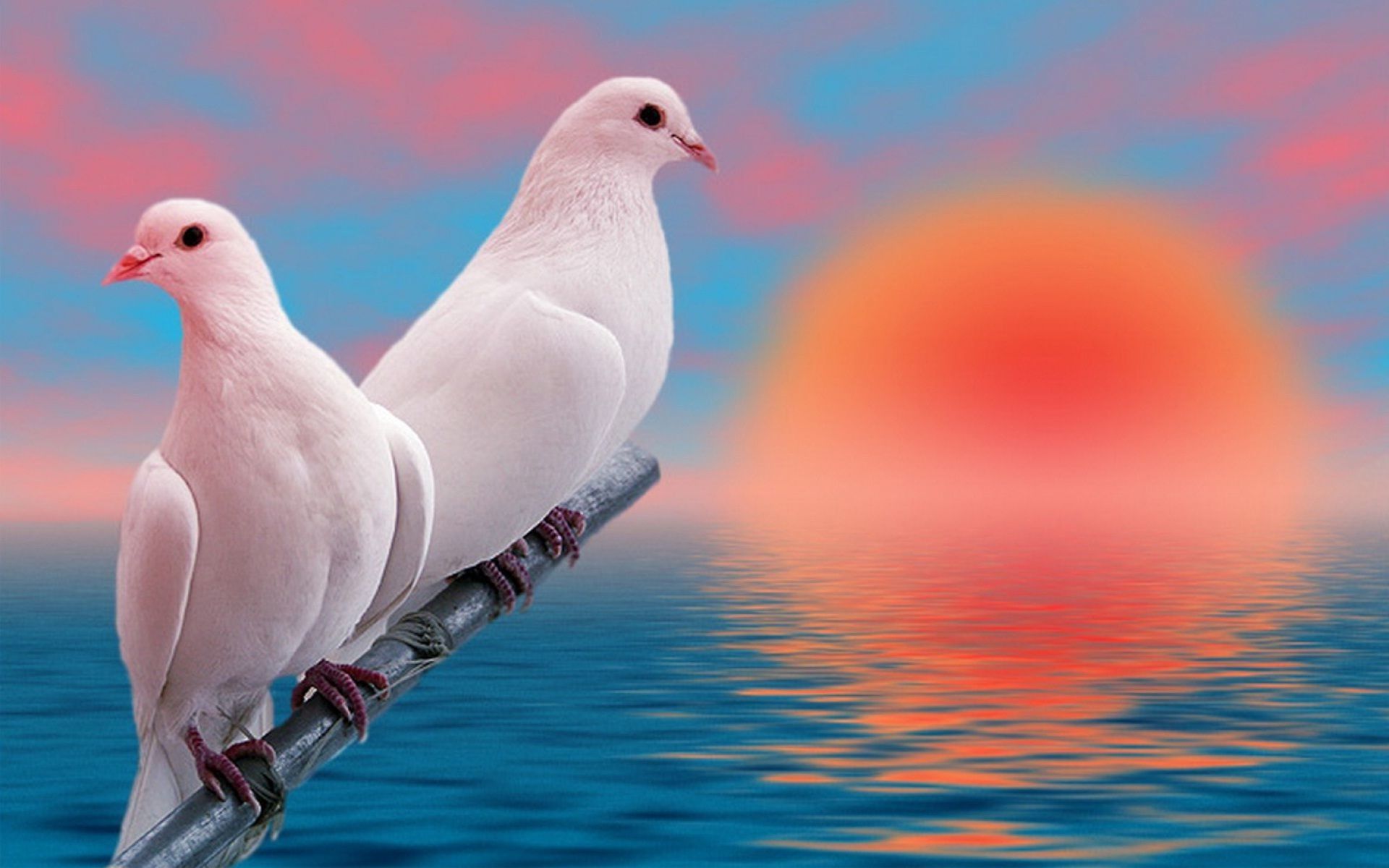 Love Birds  Fantasy  Abstract Background Wallpapers on Desktop Nexus  Image 2487259