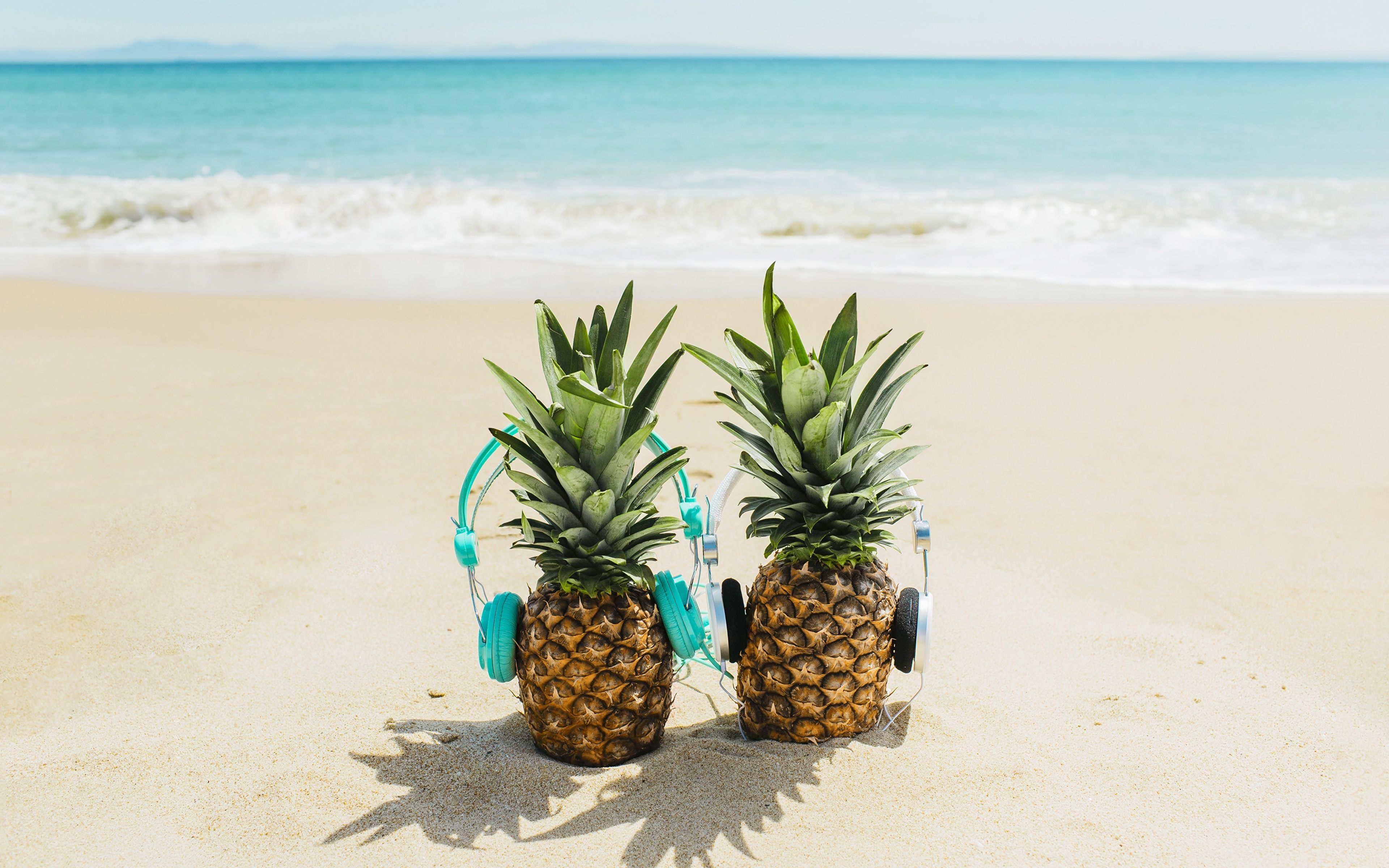 Pineapple Beach Wallpapers on WallpaperDog