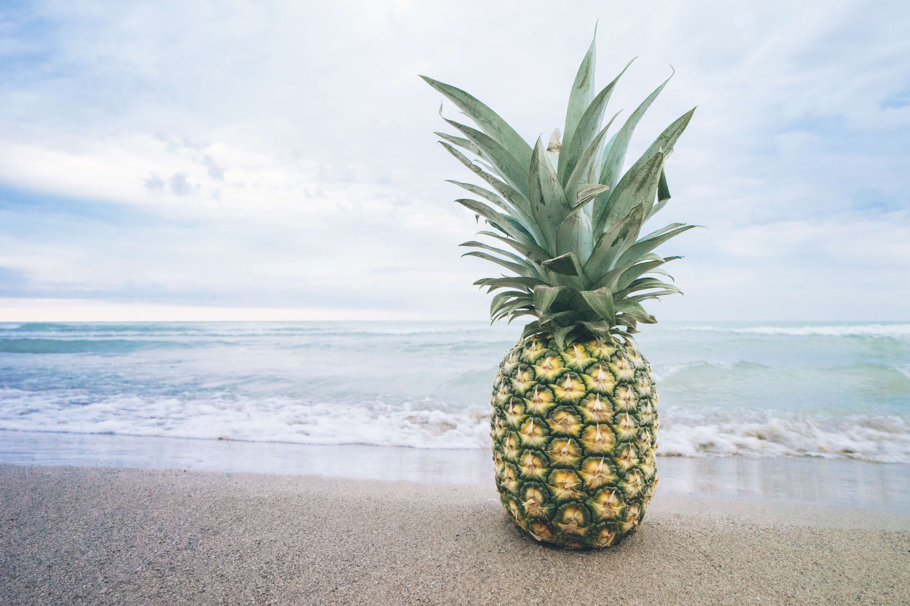 Pineapple Beach Wallpapers on WallpaperDog