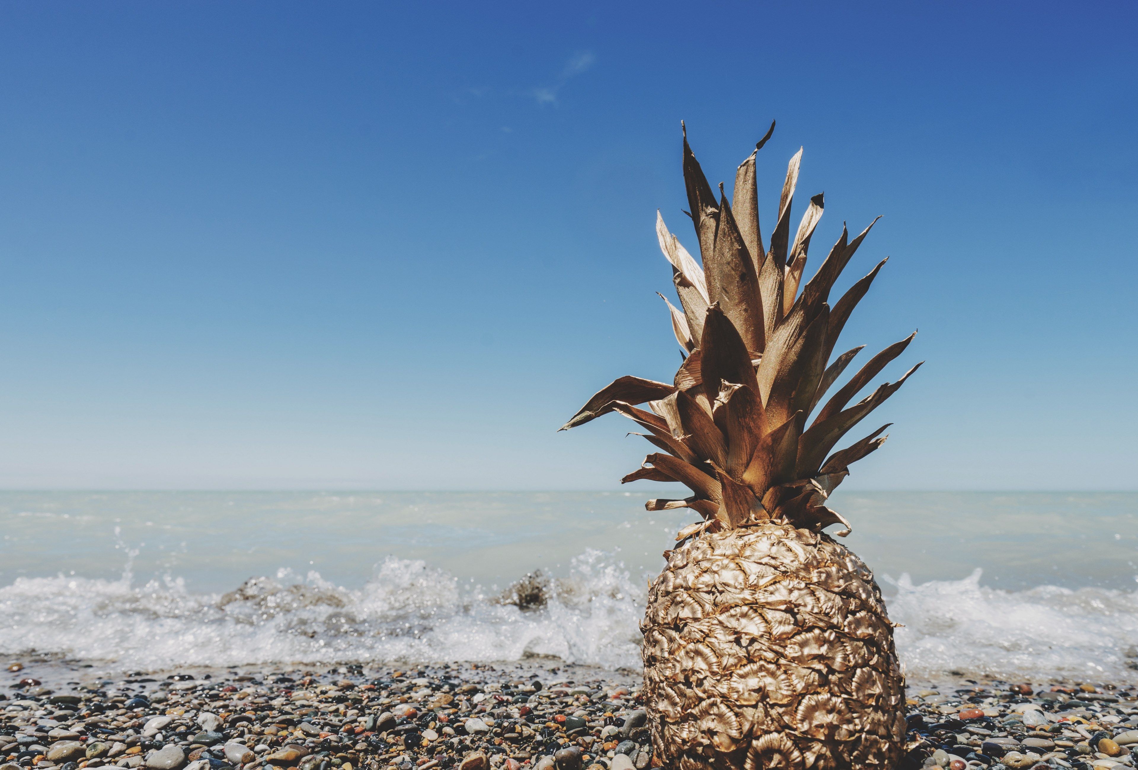 pineapple at the beach desktop wallpaper for mac