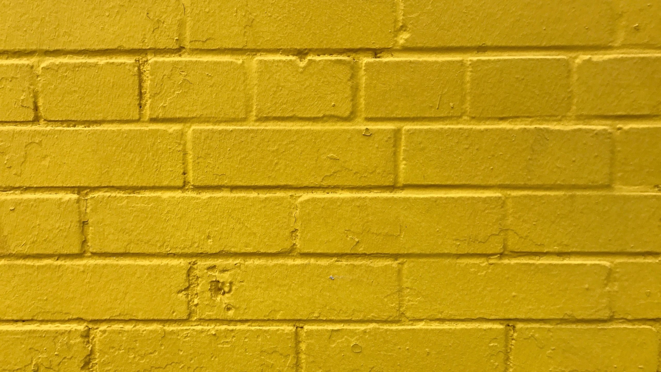 4K Yellow Wallpapers [160+]