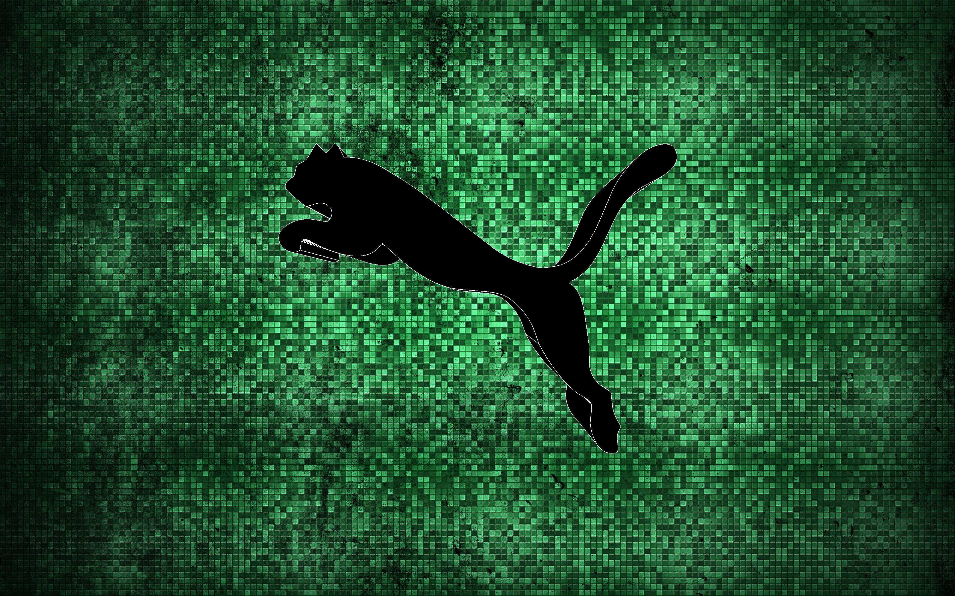 Protestant create candidate Green Puma Wallpapers on WallpaperDog