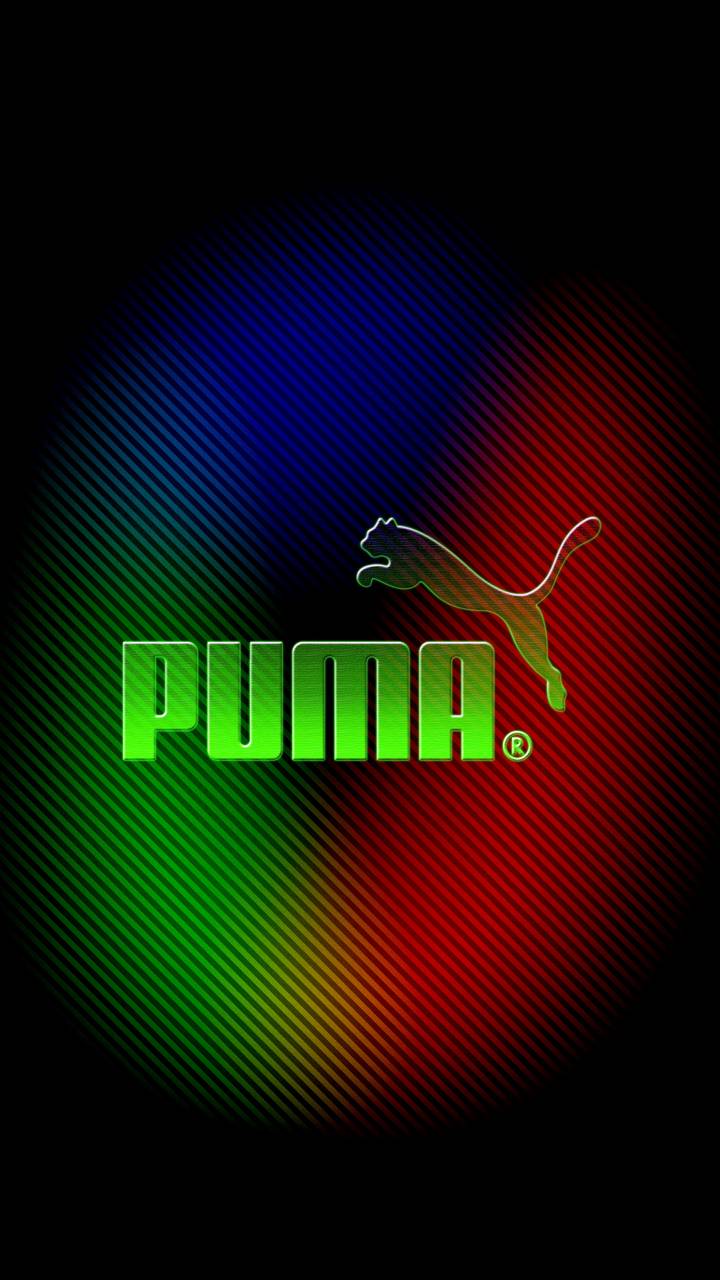Green Puma Wallpapers on WallpaperDog