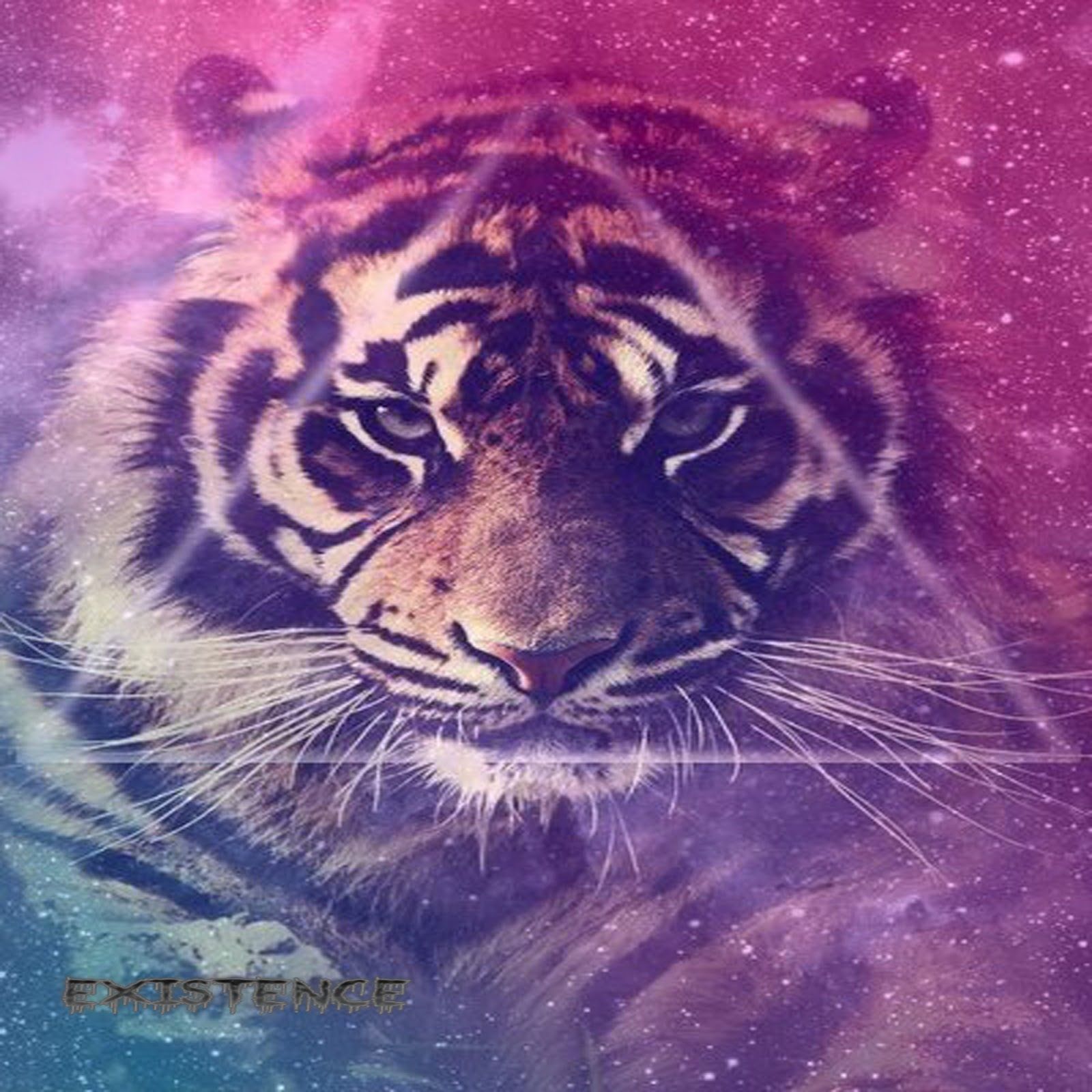 Galaxy Tiger Wallpapers on WallpaperDog