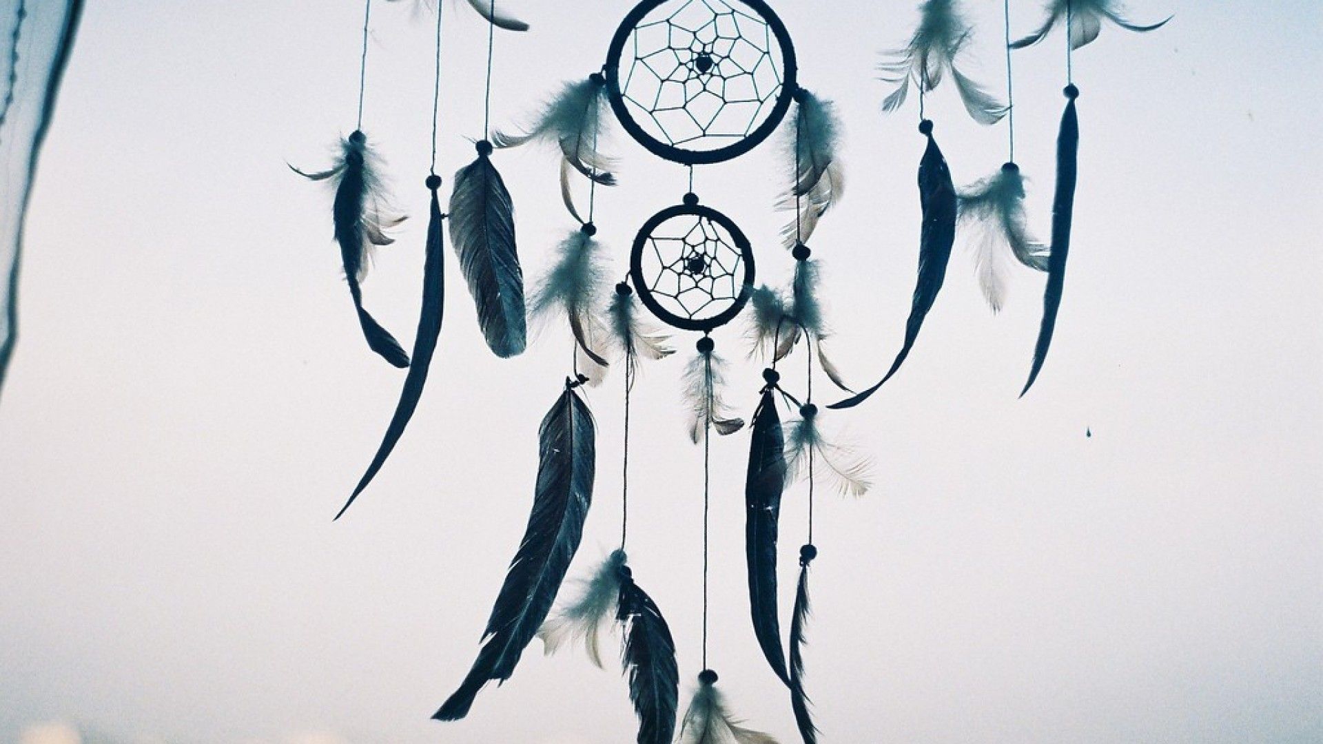 Black Dream Catcher Wallpapers on WallpaperDog