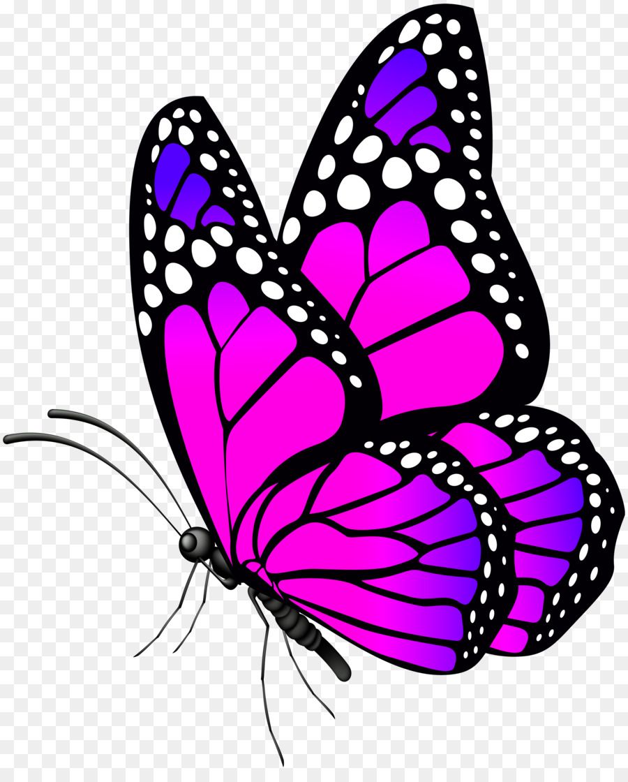 Download Pink Butterfly Wallpapers On Wallpaperdog