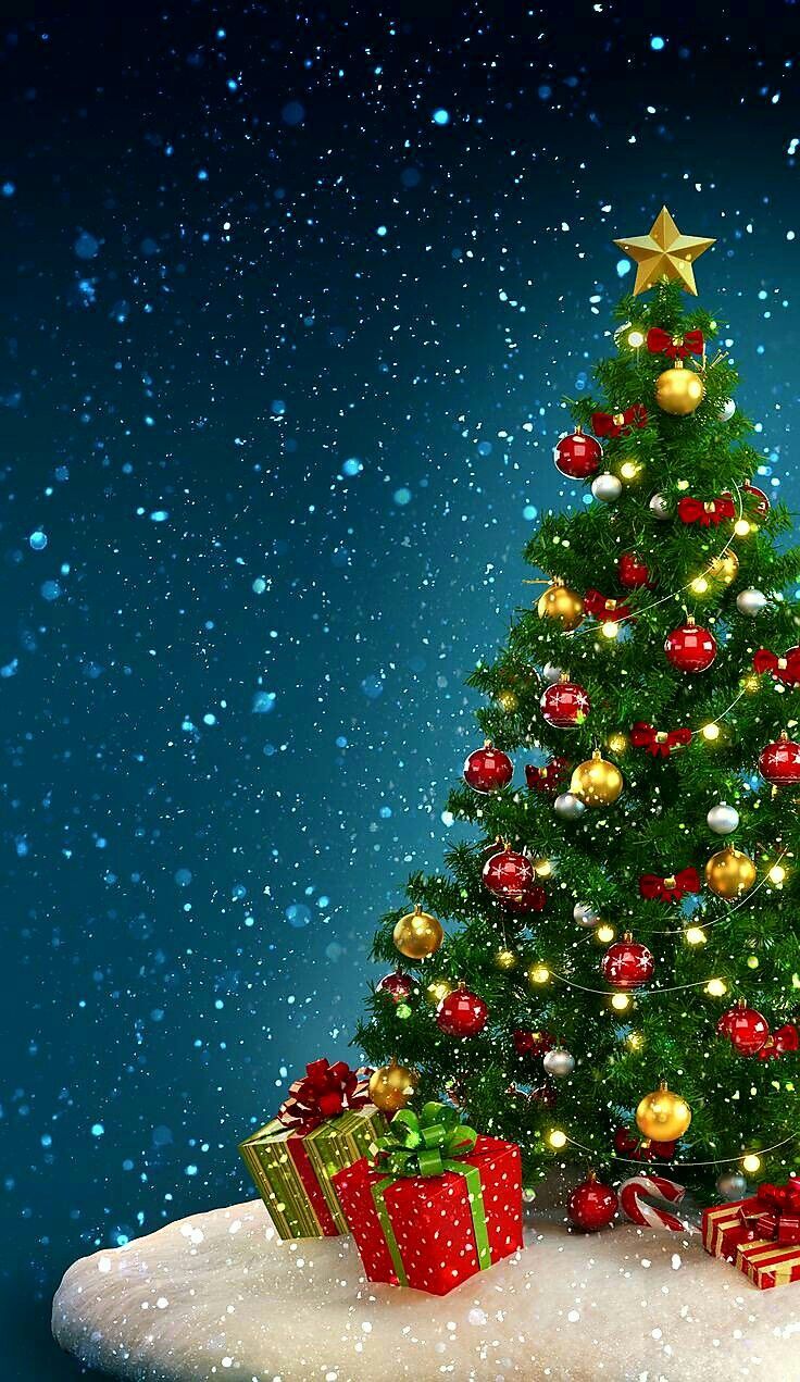 HD wallpaper Christmas tree New Year christmas lights pine trees snow   Wallpaper Flare