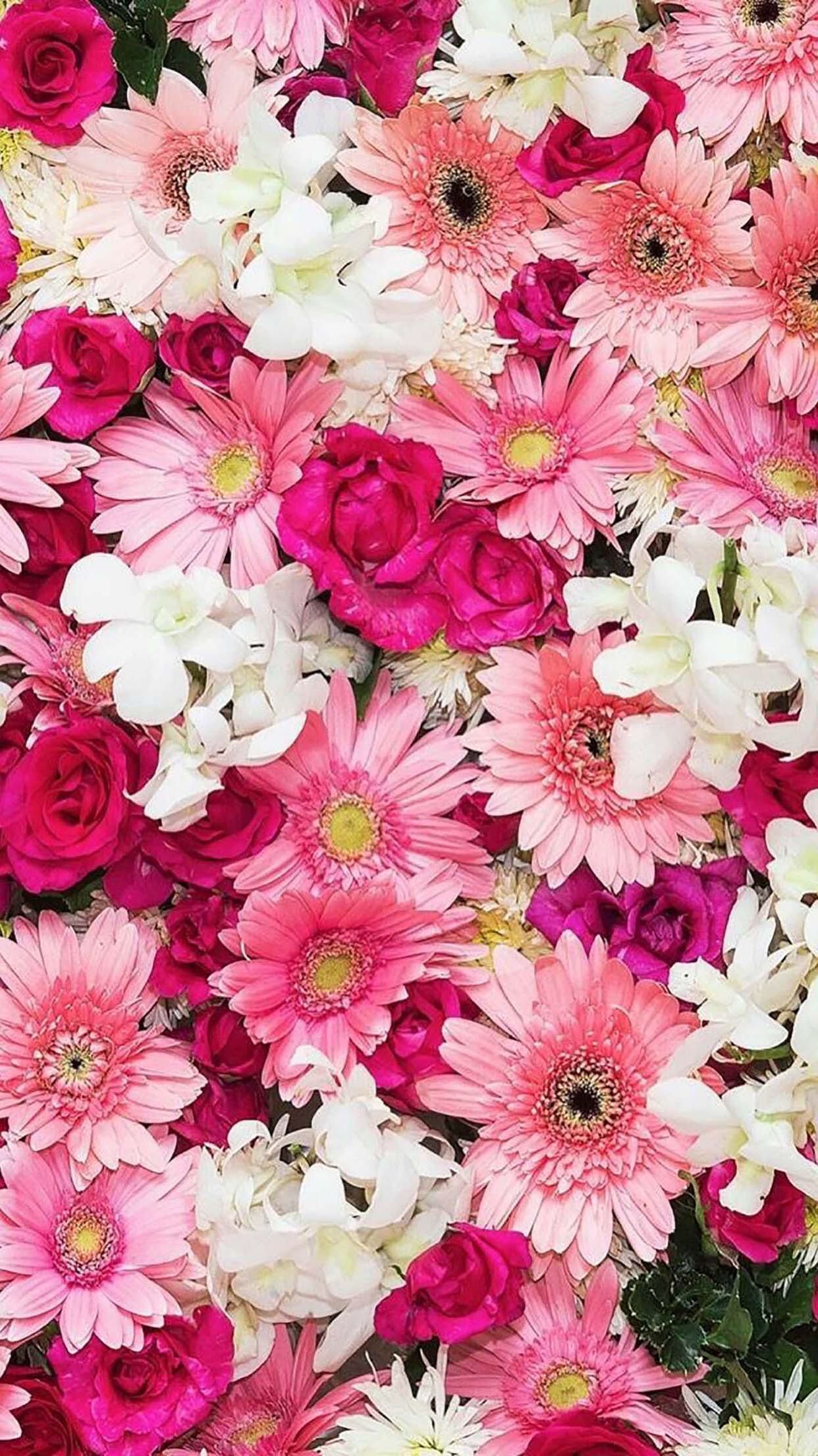 Pink flowers iPhone Wallpapers  Flower background iphone Pink flowers  wallpaper Beautiful flowers