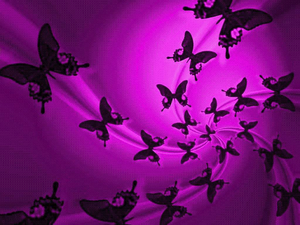 Animated Butterfly Wallpapers on WallpaperDog