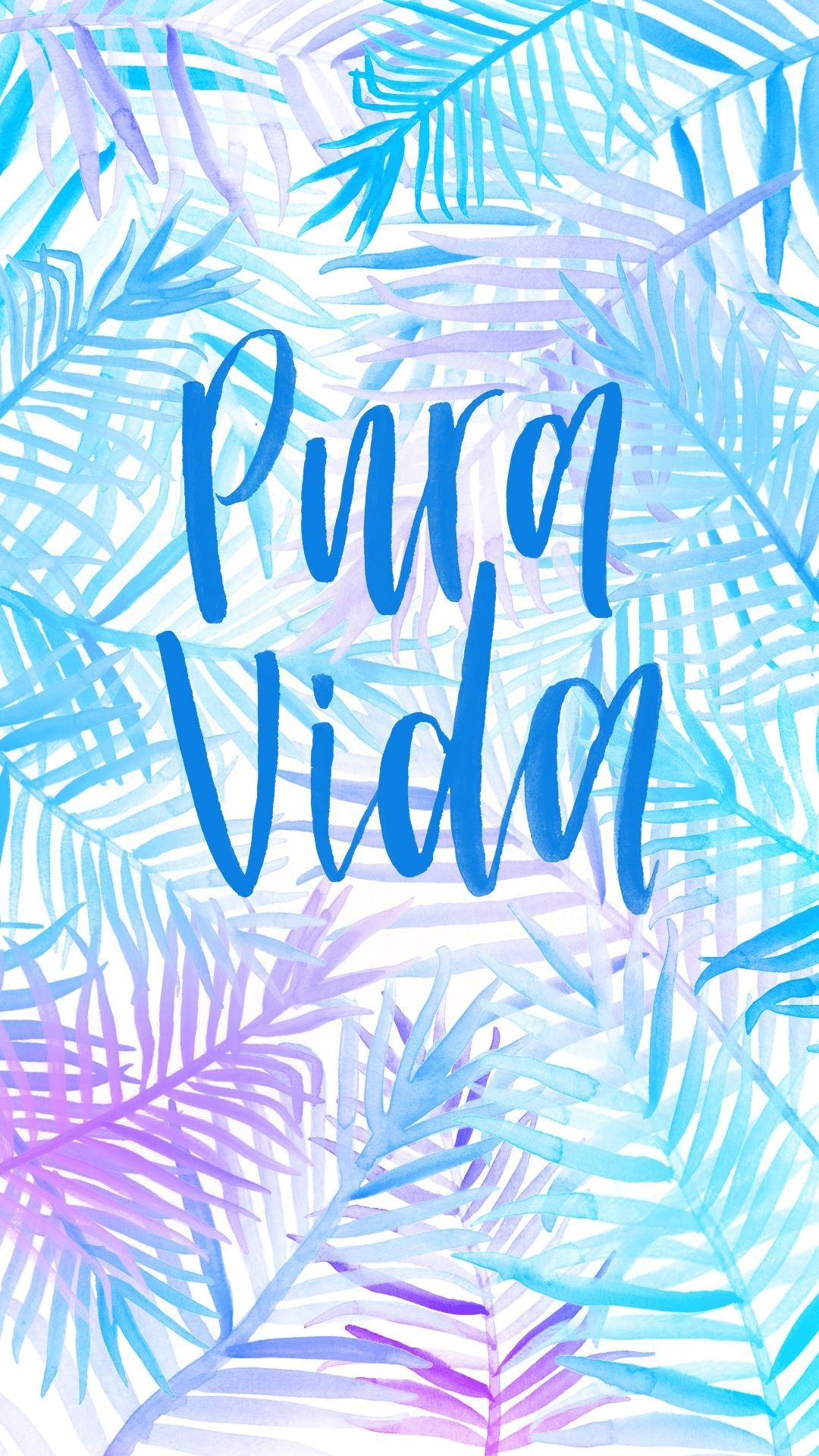 Pura Vida designs themes templates and downloadable graphic elements on  Dribbble