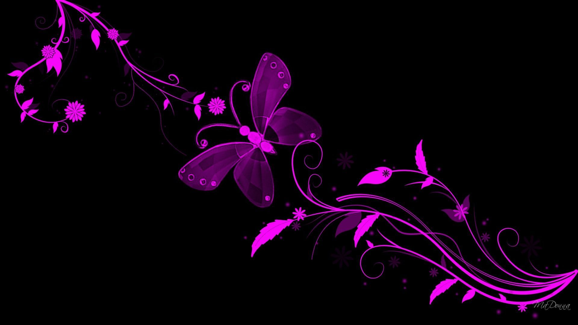Beautiful Black Butterfly Wallpapers HD Quality