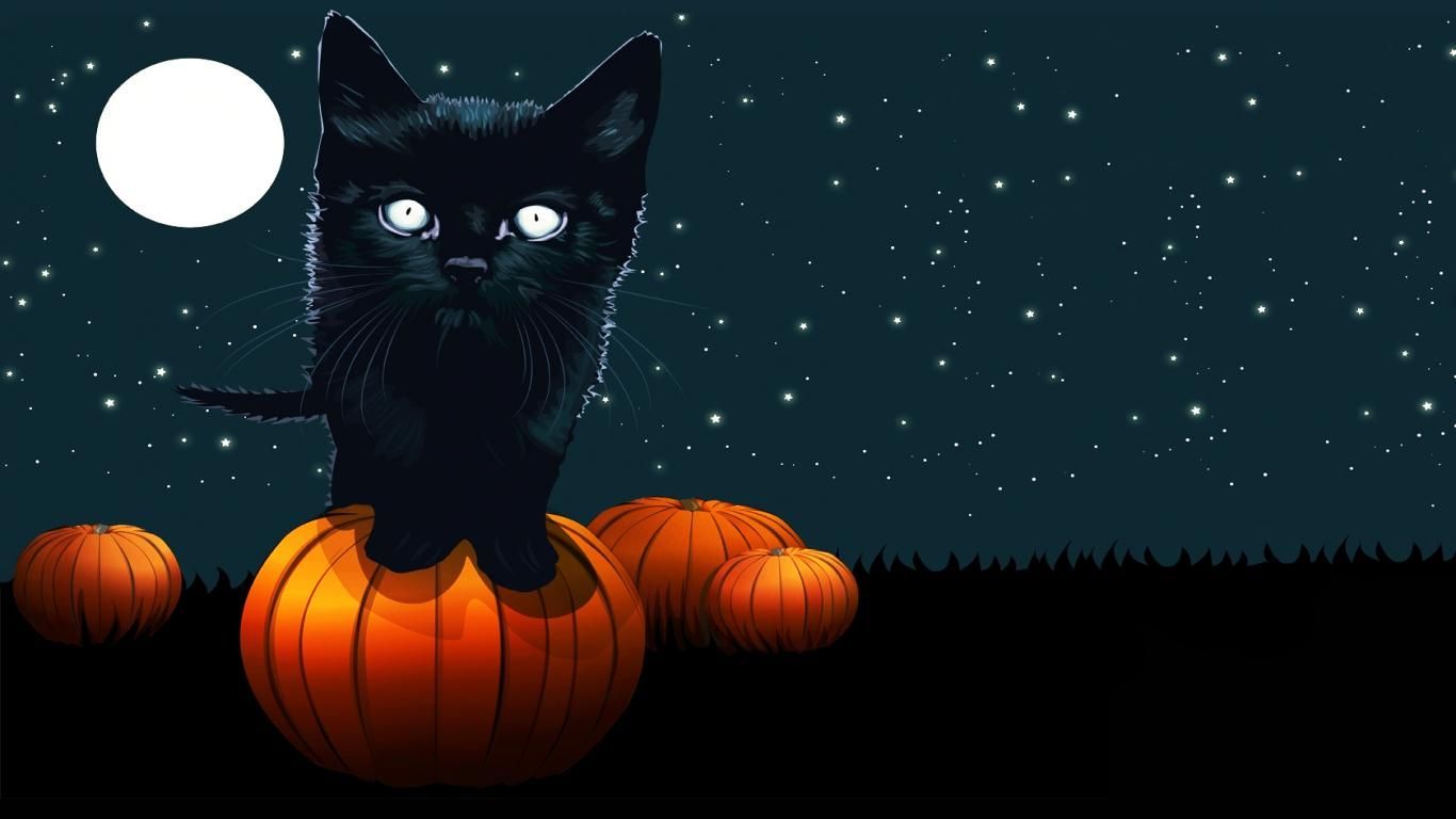 Halloween cat wallpaper by ChaosAngel7  Download on ZEDGE  a9e0