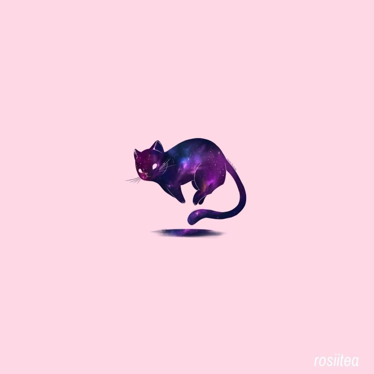 galaxy cat tumblr background