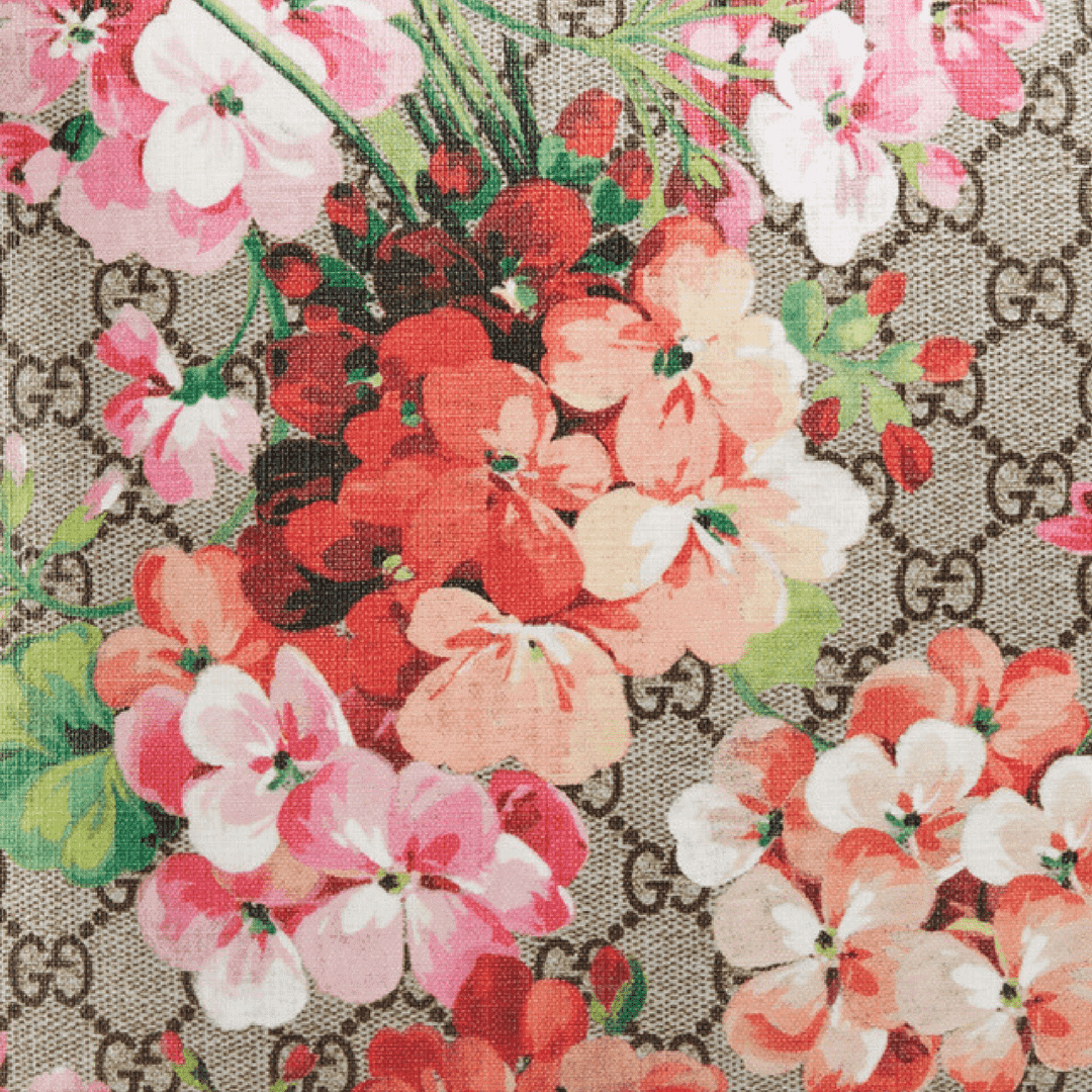 Gucci Flower Wallpapers on WallpaperDog