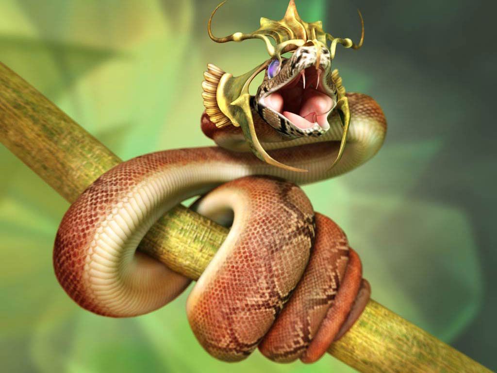 3D Cobra Snake Wallpaper  Download to your mobile from PHONEKY