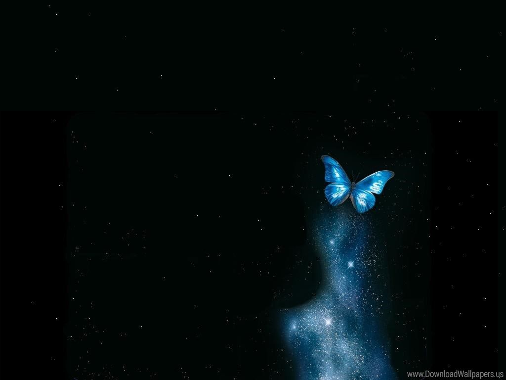Galaxy Buterfly Wallpapers On Wallpaperdog