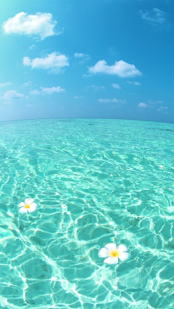 Download Cute Summer Beach Vibe Iphone Wallpaper  Wallpaperscom
