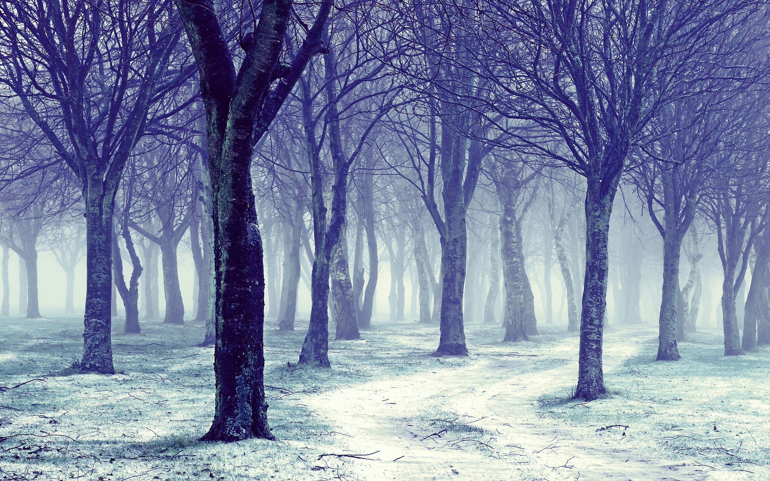 winter quotes facebook covers