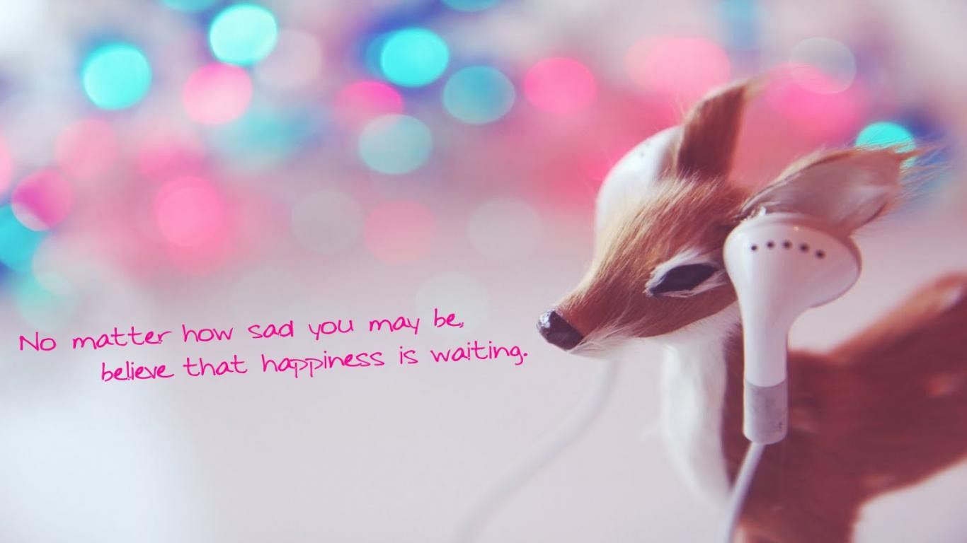 Funny Love Wallpapers on WallpaperDog
