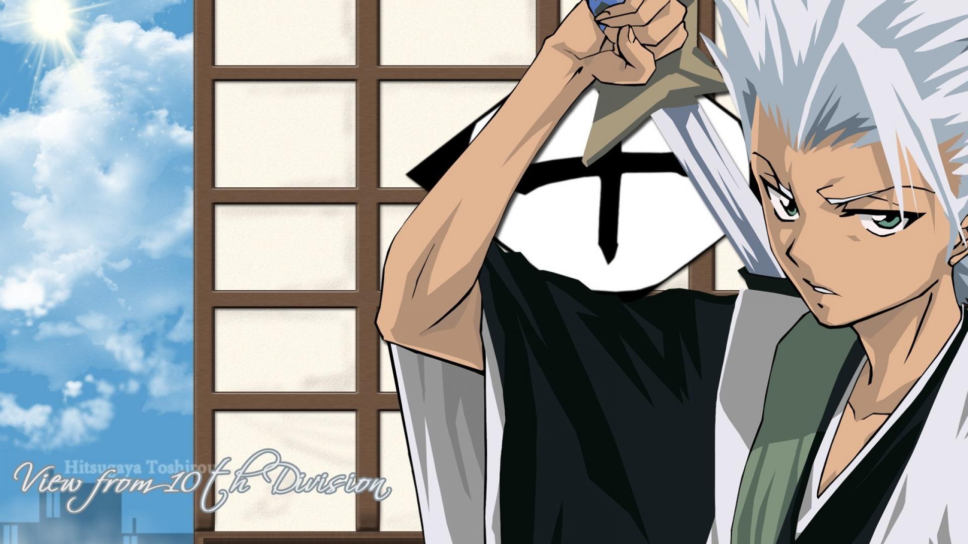 Toshiro Captain Of Squad 10 - Bleach & Anime Background Wallpapers On F...