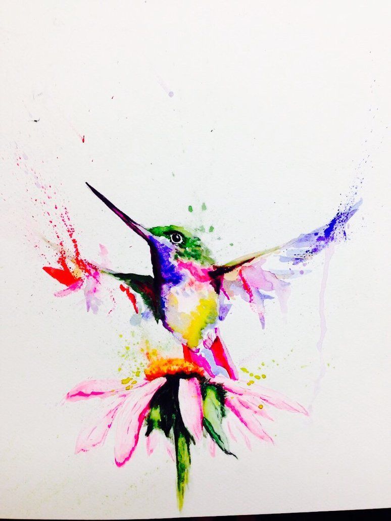 Hummingbird Watercolor Wallpapers on WallpaperDog